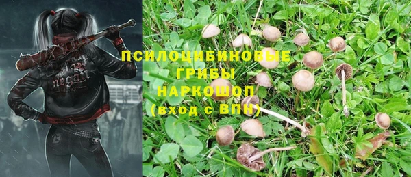 трава Алексин