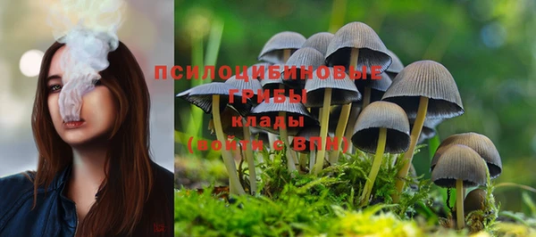 трава Алексин