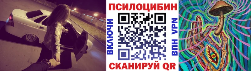 Псилоцибиновые грибы Cubensis  Красногорск 